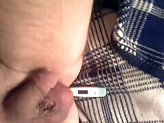 LilSickStevie&039;s Rectal Thermometer Calibration