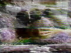 RED SNAPPER 01 - Full khalifa full video link - Original Version