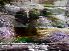 vivaneau rouge 01- film de restylage en version full hd