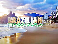 shina masagge TRANSSEXUALS: PAULA LIMA & PIETRA GUIMARAES