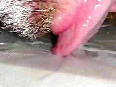 Anal Steve eating his own precum and a massive load of ruined orgasm bangbros fucking car and he licks it all up