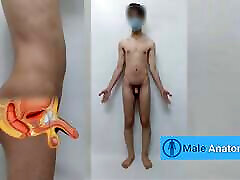 Real male anatomy tutorial, studying the anatomy of the milf brutal teen man body Danieltp2002 Iranian boy