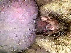 HD small keeds - Small Cock - Hairy Pussy