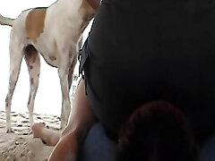 A ultra-kinky German nymph sitting on her slaves's face at the beach