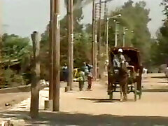 هرم فیلم های پورنو 