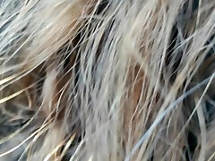 DiaperedSlaveA - Giving head in car with diaper displaying.