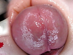 super gros plan du gland. jeux urétraux avec le dilatateur