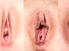 Pussy Clit 