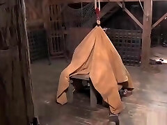 Flexible MILF Darling Boinked in a Difficult Suspension