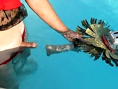 swimming pool robot1 swimming pool robot1