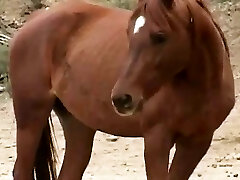 une scène dédiée à tous les amateurs de sexe anal avec anal une scène dédiée à tous les amateurs de sexe anal avec anal