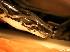 érotique séduction est mesmrizing érotique séduction est mesmrizing