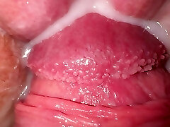 Close-Up Fuck With Sister's Spouse