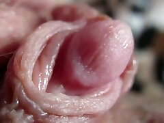 la pulsation de dur clitoris dans l'extreme close up