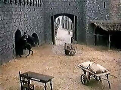 aventures érotiques de zorro (1996) aventures érotiques de zorro (1996)