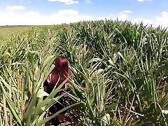 First Time Trying Standing Sixty Nine in a Cornfield and He Makes Me Cumhard