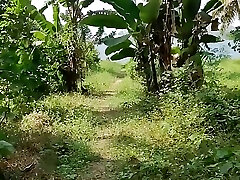 Pee POV on the Hand Plantation