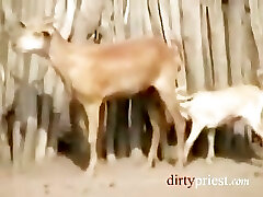 Reporter Japonais Se Fait Baiser Par Les Tribus Africaines Reporter Japonais Se Fait Baiser Par Les Tribus Africaines