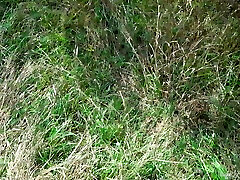 A Dude Spotted A Cute Kitty In The Forest And Fuck in The Mouth