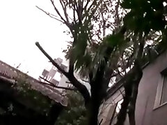 rei kitajima abstinenz pflege