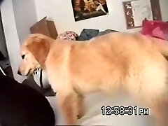 Sd - donna fucks her bf richard again in her dorm for a internal cumshot