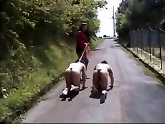 Varios, Mistress &amp; سگ برده