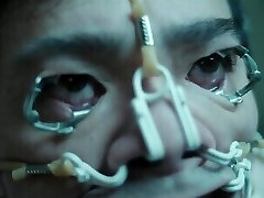 ایمان فولاد