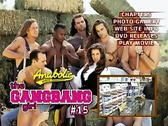 गैंगबैंग लड़की 15