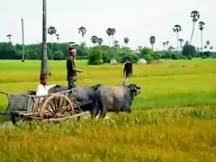 [30JAV.com嗯ThiÃªn...á
