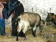 Vintage Retro German Amateur your Daily Dose of Porno