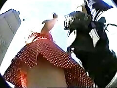 Smoking hot mature chicks upskirt flick