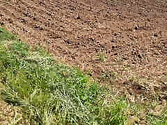 شگفت آور, در فضای باز, بسیار بزرگ