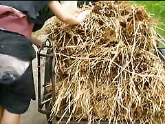 htms-090: forbidden attic sottotitoli in inglese