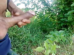 In the forest In the forest