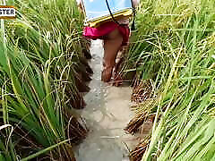 village nomita Spray on rice plants Bengali audio dirty
