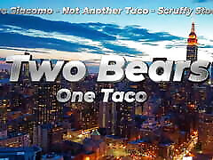 Two Bears One Taco