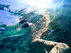 Stunning Girl Swims Nude on Public Beach