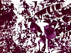 Vintage porn retro erotic theatre - wild sex 5