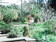 从来没有这么深1981