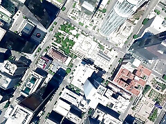 घरेलू अशांति कॉल