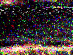 Peterfever Sexpig Game Episode 4 Odd Balls