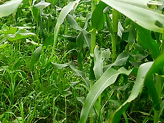 In the outdoor open field, my sister-in-law is urinating with fingers in her pussy, showing her brother-in-law, quench my thirst