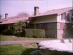 горячие волосатые красотки трахаются в жопу во время оргии