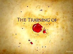 The Training of a Newbie Anal Slut Day One