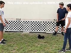 Horse Scene Horse Scene