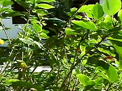 BELLEZZE TRANSEX-第4集